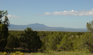 Spring Canyon Ranch near Quemado, New Mexico