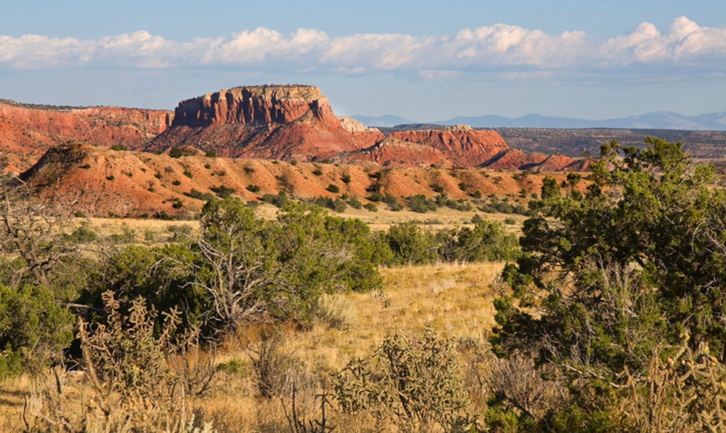 Scenic view of desert plateau and shrubs