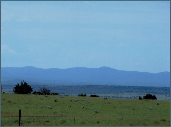 concho 50 (04c4cc3d-a195-4bb1-8a79-75d184e0c1a4)(1)