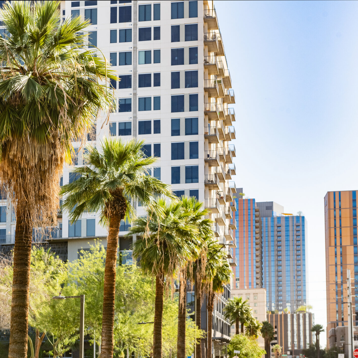 Downtown Phoenix skyscrapers rise behind tall palm trees under a vivid blue sky, Arizona.